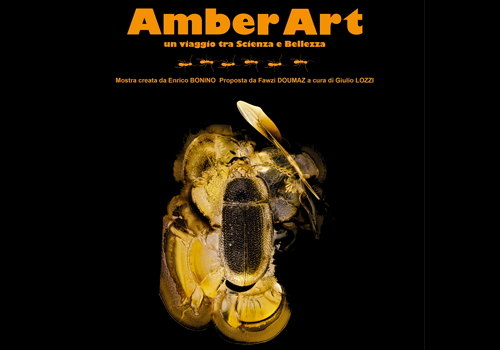 Amber Art copertina
